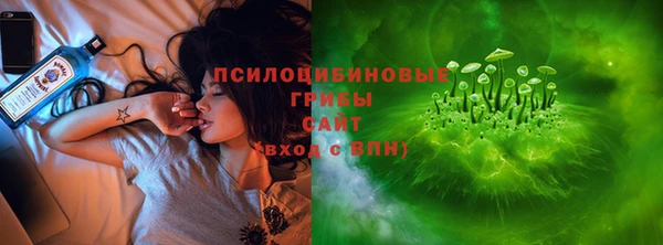 ГАЛЛЮЦИНОГЕННЫЕ ГРИБЫ Алексин