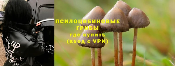 ГАЛЛЮЦИНОГЕННЫЕ ГРИБЫ Алексин