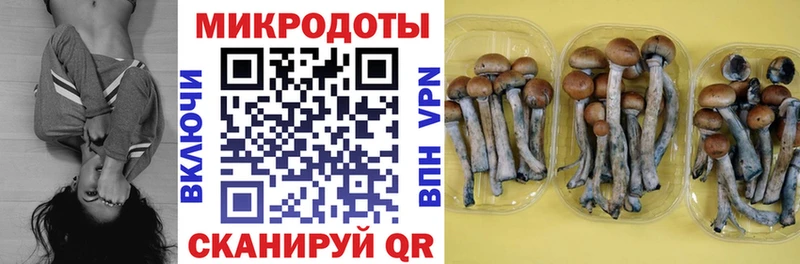 Псилоцибиновые грибы прущие грибы МЕГА как зайти Ижевск цены наркотик